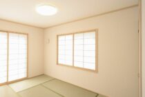 放っておくと健康被害も！？畳にカビが生える原因と除去方法を紹介