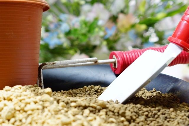 ツツジに肥料をあげすぎるのは逆効果？