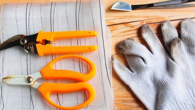 樹齢にあわせた剪定方法