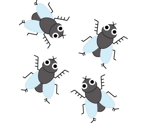 コバエが大量発生した場合は