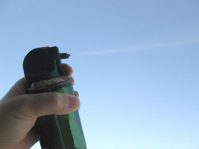 蜘蛛を駆除する方法とは？