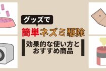 ネズミ駆除が自力で簡単にできる！効果的なグッズと退治後の予防策