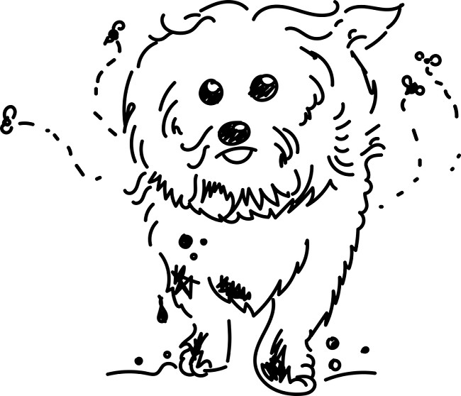 コバエの大量発生を予防しよう