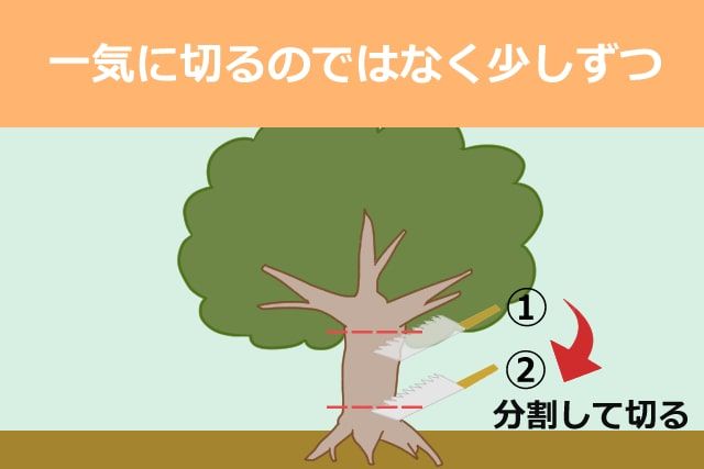 一気に木を切らない
