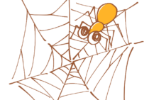 苦手な場合は外へ逃がす！蜘蛛の駆除は自分に合った方法で対策も