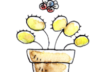 殺虫剤以外でも可能？ハエを退治する方法は何がベストなのか