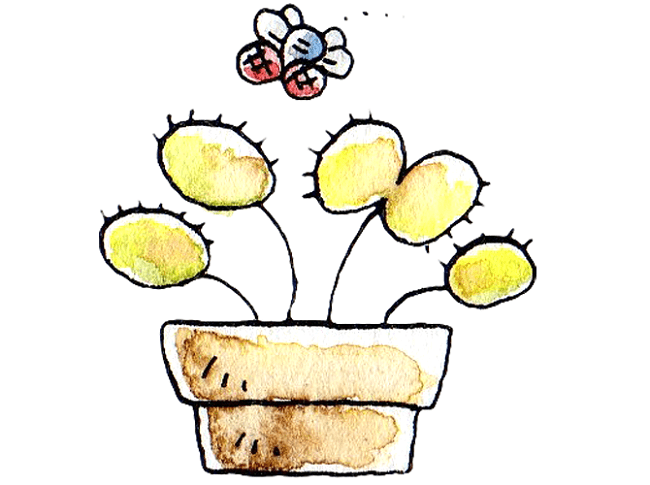 虫剤以外でも可能？ハエを退治する方法は何がベストなのか