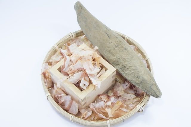 カツオブシムシの正体はどんな虫？