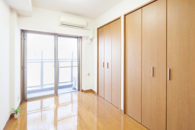 カツオブシムシ特有の被害の特徴とは？