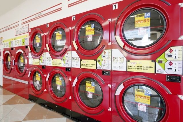 カツオブシムシを駆除する方法は？