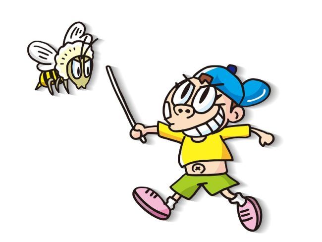 シダクロスズメバチの毒は危険！