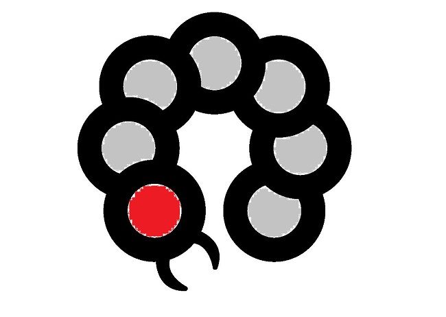 猫がムカデを食べてしまった…