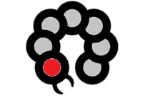 ムカデの発生時期はいつ？緊急時のムカデ駆除方法と予防策