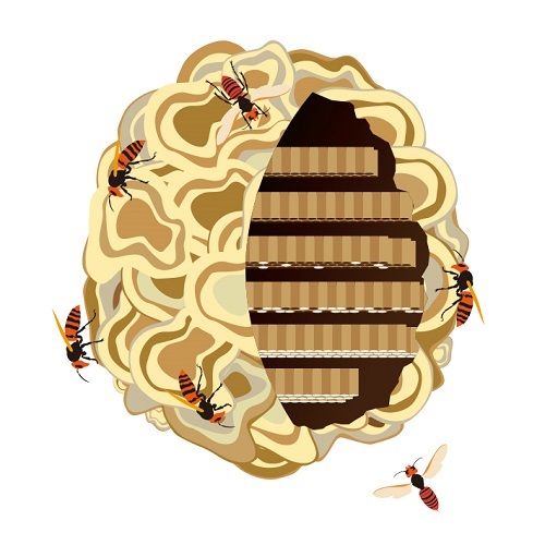 名古屋市の蜂の巣駆除の依頼件数