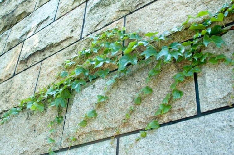 ブロック塀の劣化の原因は?見た目では分かりづらい危険な塀とは