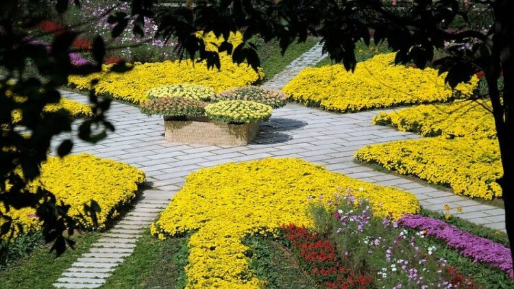 オオスズメバチの女王は世界最大のハチ！その生態や危険性について