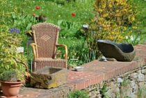 ムカデが発生する時期はいつ？家の中で遭遇した場合の対処方法とは