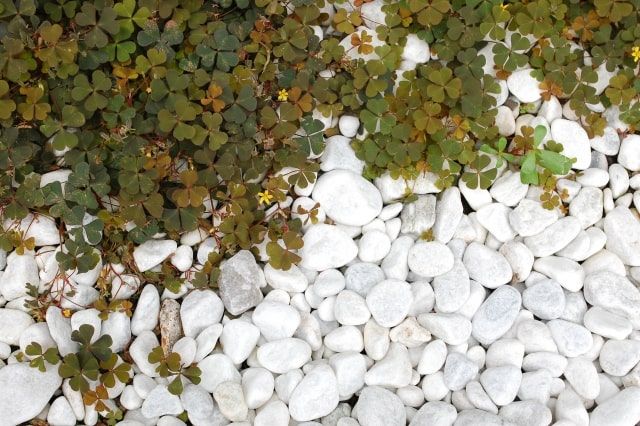 砂利を使うことにメリットはある？