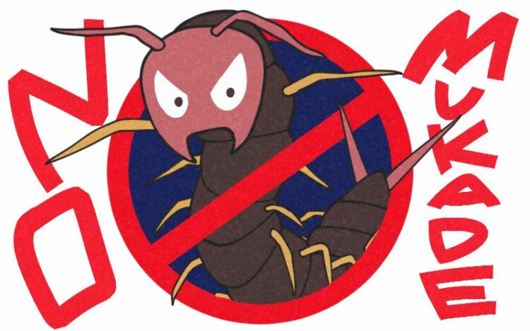 ムカデの撲滅には侵入ルートをふさぐことが大切