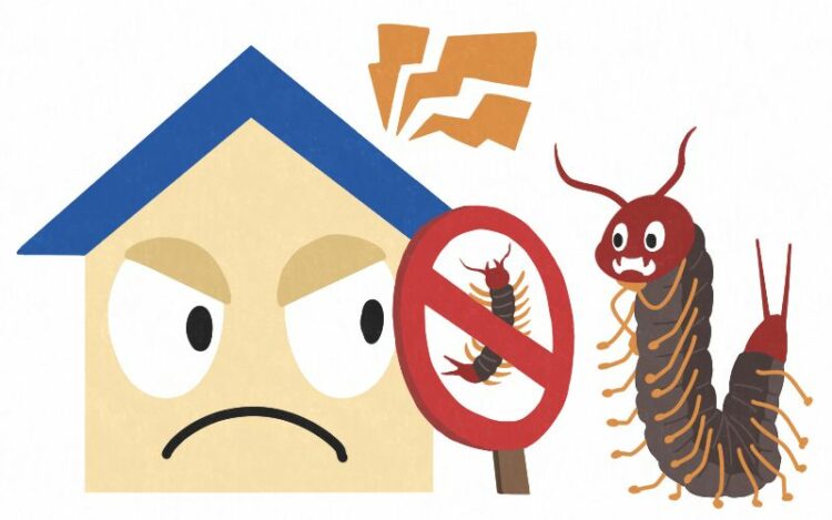 新築なのに家にムカデ…どうしているの？