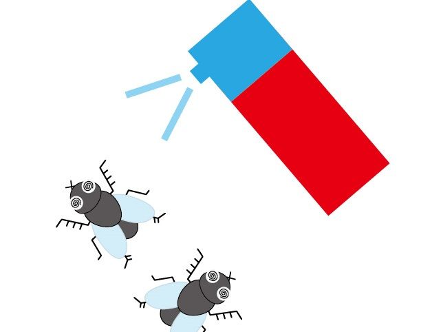 身近なものでムカデを処理する方法
