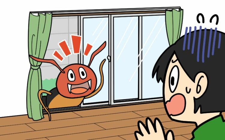 ムカデはどこから?まずは侵入口を特定する