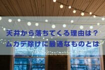 ムカデが天井から落ちてくる理由はなに？ムカデ除けに最適なものとは
