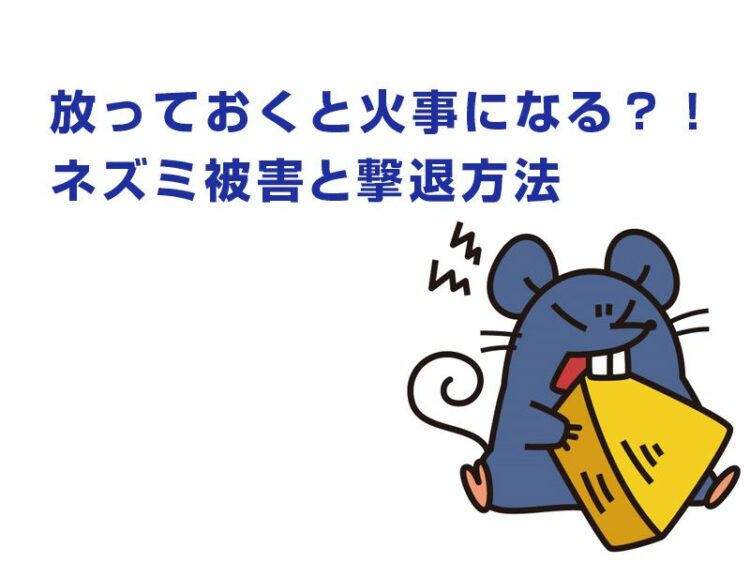 放っておくと火事になることも?!ネズミ被害と撃退方法を紹介!