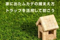 家に出たムカデの捕まえ方！トラップを活用してムカデ被害を防ごう