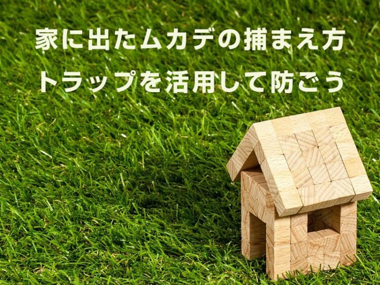 家に出たムカデの捕まえ方！トラップを活用してムカデ被害を防ごう