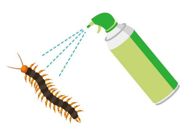 逃げたムカデの捕まえ方とは