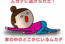 ムカデに逃げられた！家の中のどこかにいるムカデが怖いなら対策を！