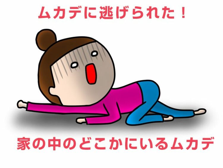ムカデに逃げられた!家の中のどこかにいるムカデが怖いなら対策を!