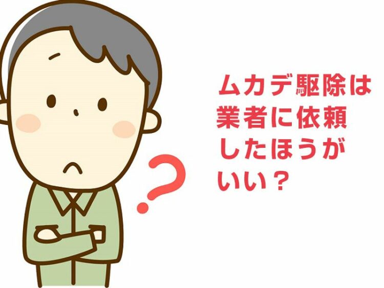 ムカデ駆除は業者に依頼したほうがいい?自分で駆除する方法と比較!