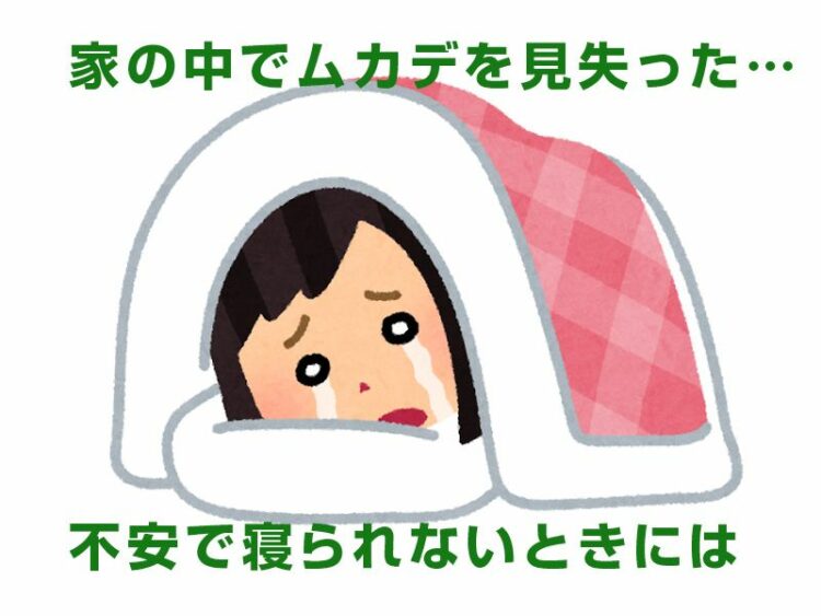 家の中でムカデを見失った…不安で寝られないときに役立つ情報！