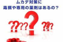 ムカデ対策に毒餌や専用の薬剤はあるの？撒くときの注意点もご紹介