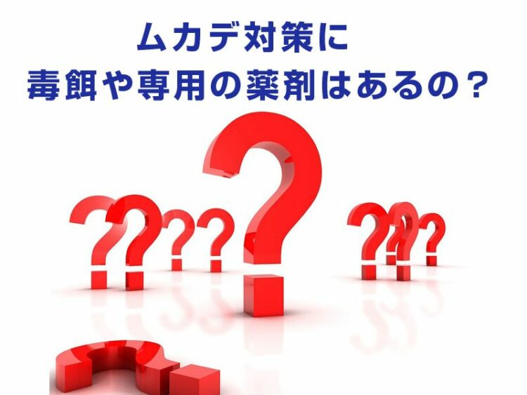 ムカデ対策に毒餌や専用の薬剤はあるの？撒くときの注意点もご紹介