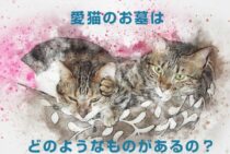 愛猫のお墓はどのようなものがあるの？供養方法についてもご紹介
