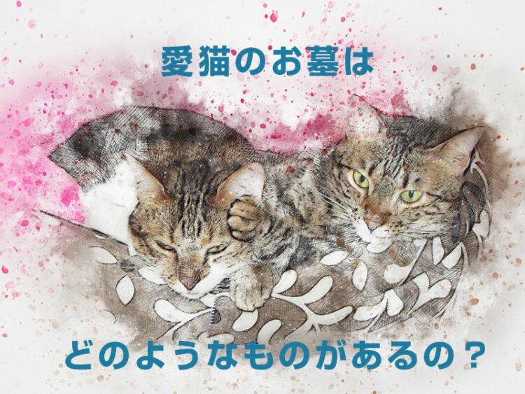 愛猫のお墓はどのようなものがあるの？供養方法についてもご紹介
