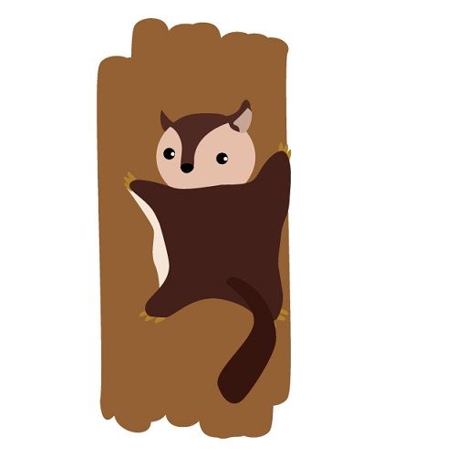 飼育の注意点！