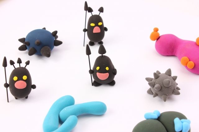 クマネズミによる被害とは