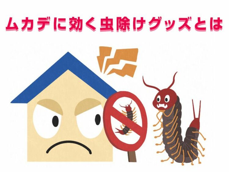 ムカデに効く虫除けグッズとは？防虫成分でムカデを家に近づけない！