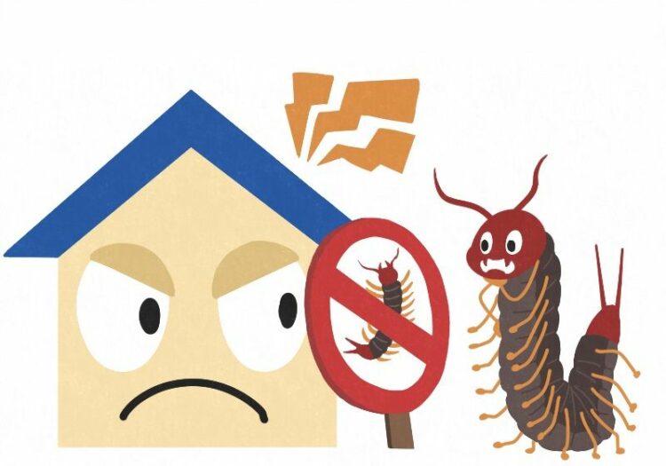 家のさまざまなすき間からムカデは侵入してくる