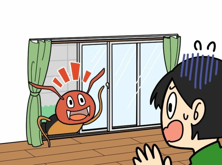 マンションでもムカデは侵入してくる！ 