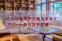 ムカデはこんな場所から侵入する！アパートのムカデ対策について