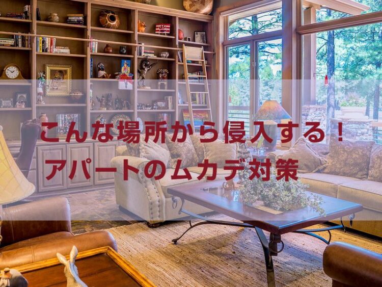 ムカデはこんな場所から侵入する！アパートのムカデ対策について