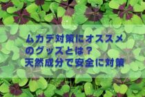 ムカデ対策にオススメのグッズとは？天然成分で安全に対策しよう！