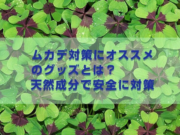 ムカデ対策にオススメのグッズとは?天然成分で安全に対策しよう!