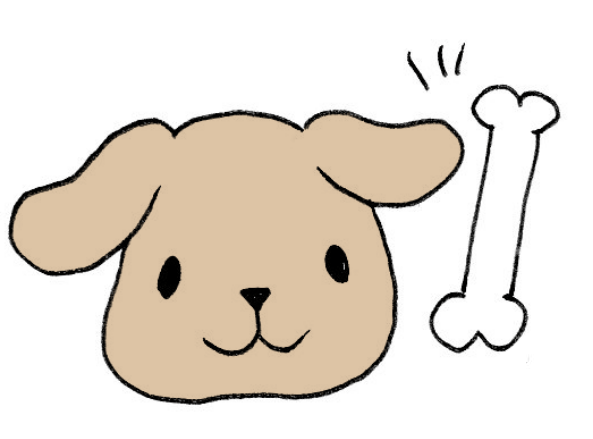 納骨しない人はどうしてる？