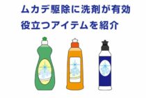 ムカデ駆除に洗剤が有効！？殺虫剤がないときに役立つアイテムを紹介